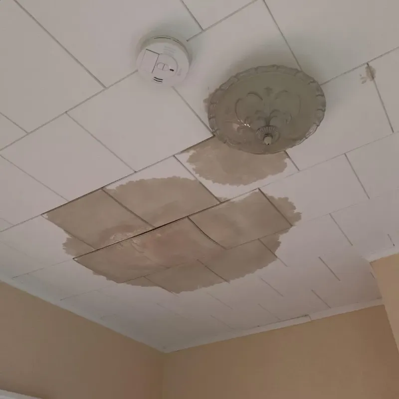 Ceiling Water Damage Repair in Mills River, NC