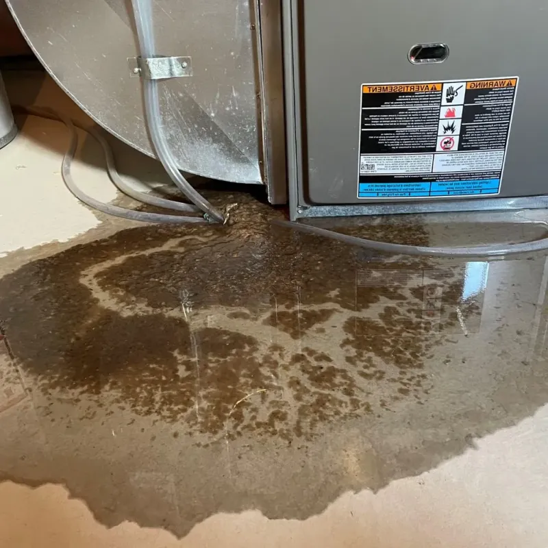 Pipe Burst and Leak Restoration in Mills River, NC