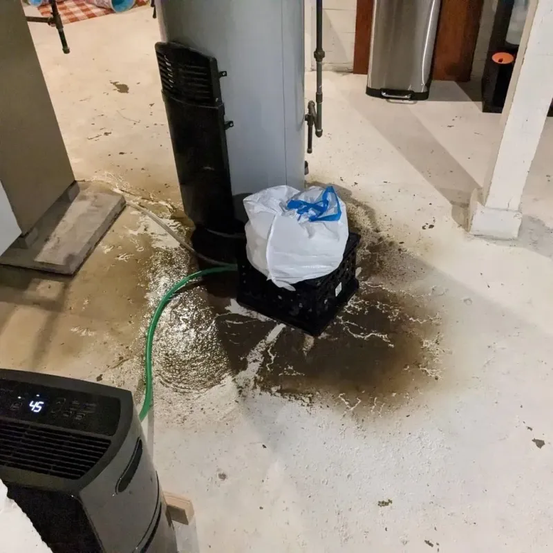 Sewage Backup Cleanup Service in Mills River, NC